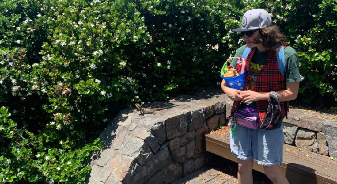 Elisha makes friends with Mr Dragon at Moffat Beach