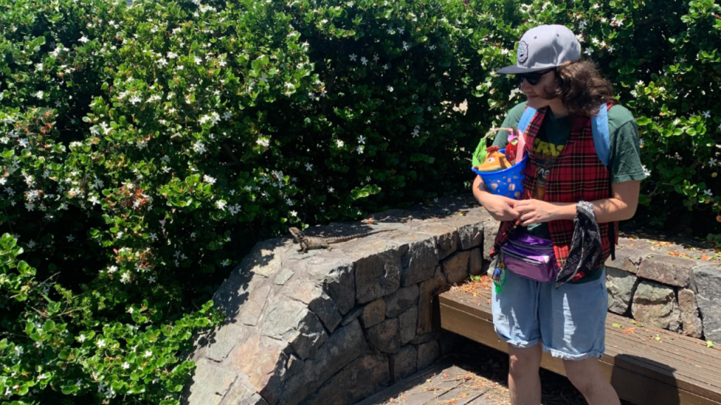 Elisha Mr Dragon the bearded dragon at Moffat Beach